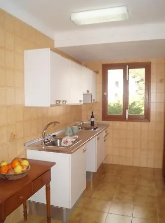 S'olivera Canyamel (Mallorca)